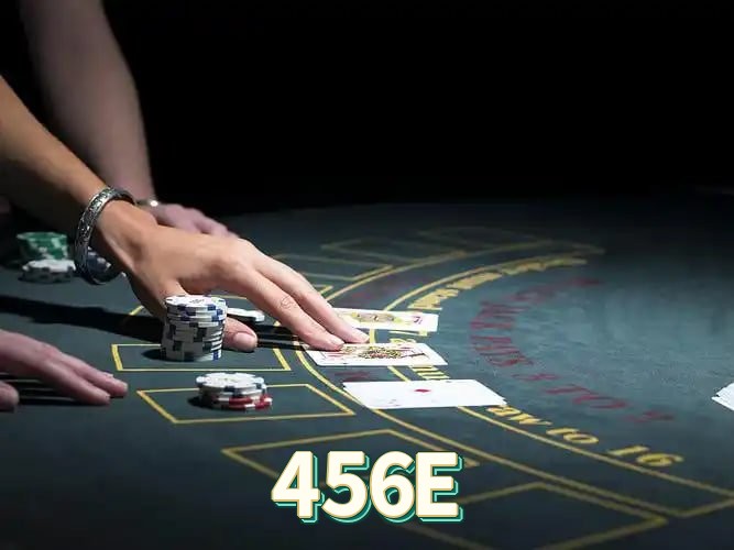 456E FAQ — suporte e ajuda no aplicativo oficial